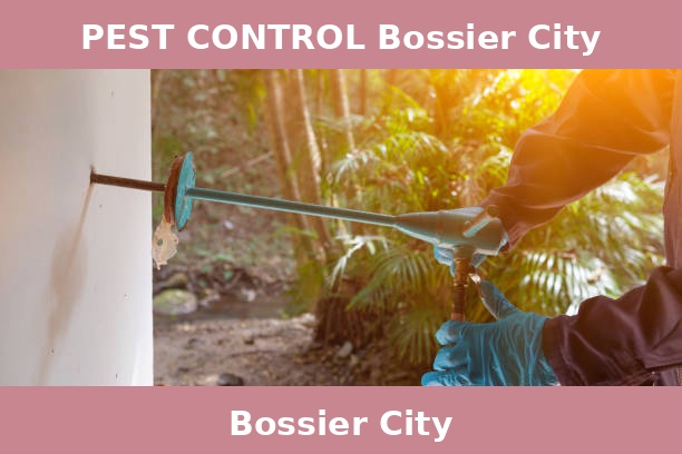 PEST CONTROL Bossier City